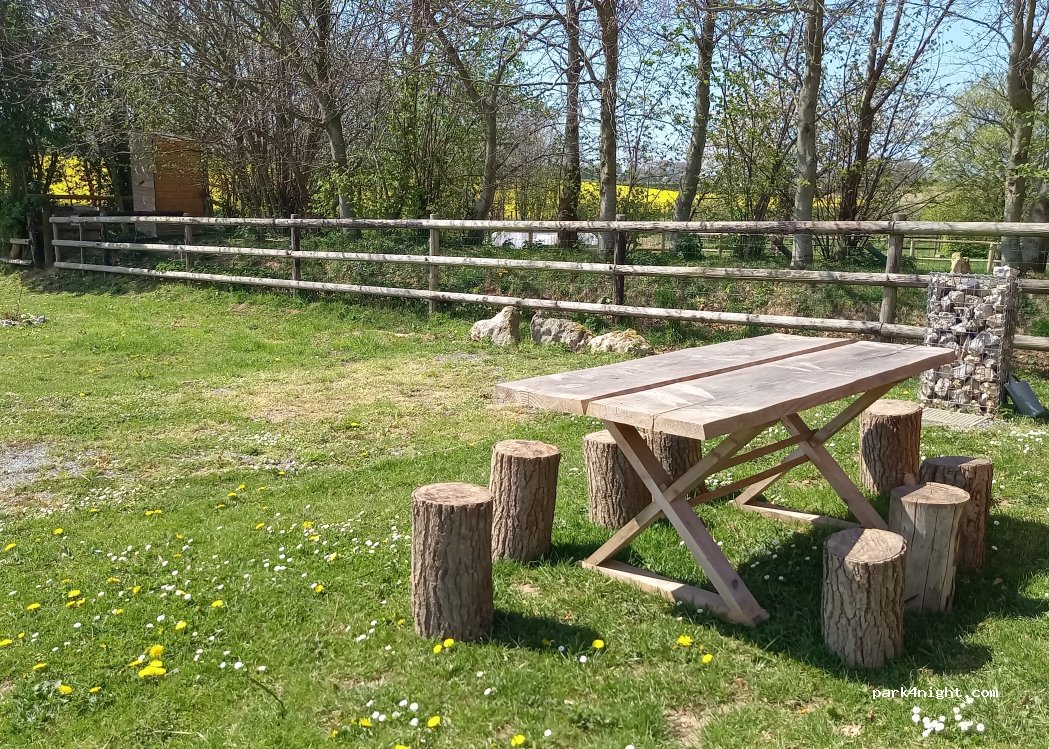 Les attelages de la Jumenterie des Néfliers — foto