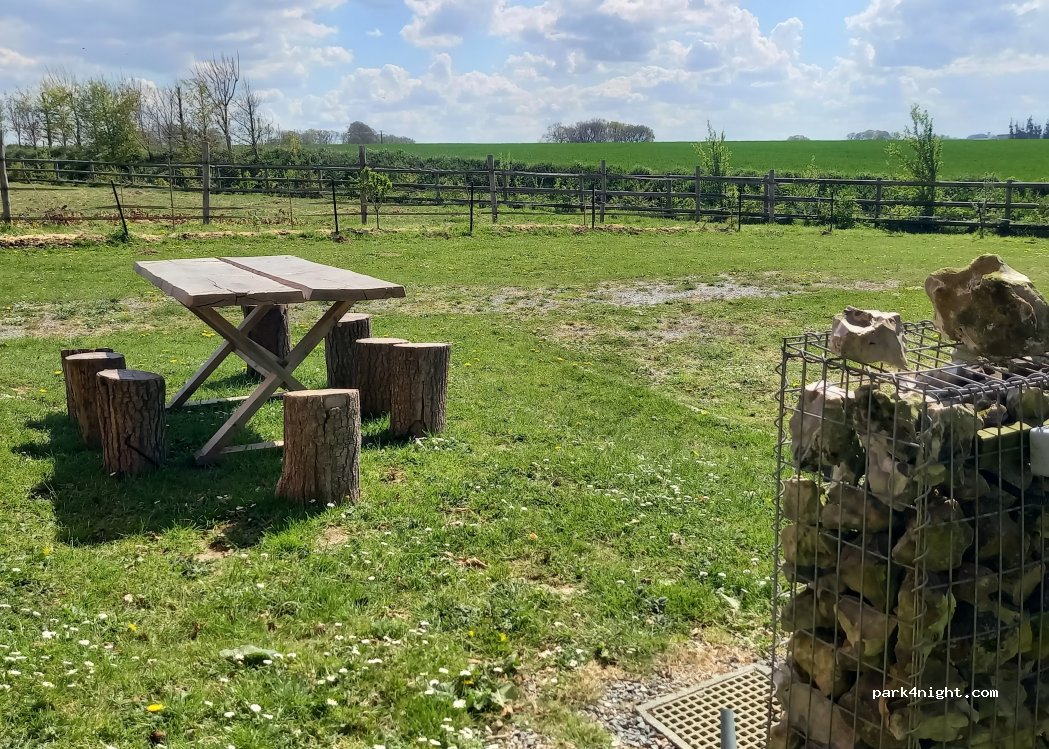 Les attelages de la Jumenterie des Néfliers — foto 2