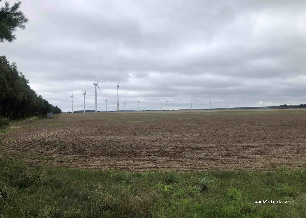 (19077) Sülstorf - — foto 2
