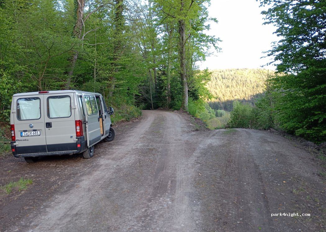 (75242) Neuhausen - — foto