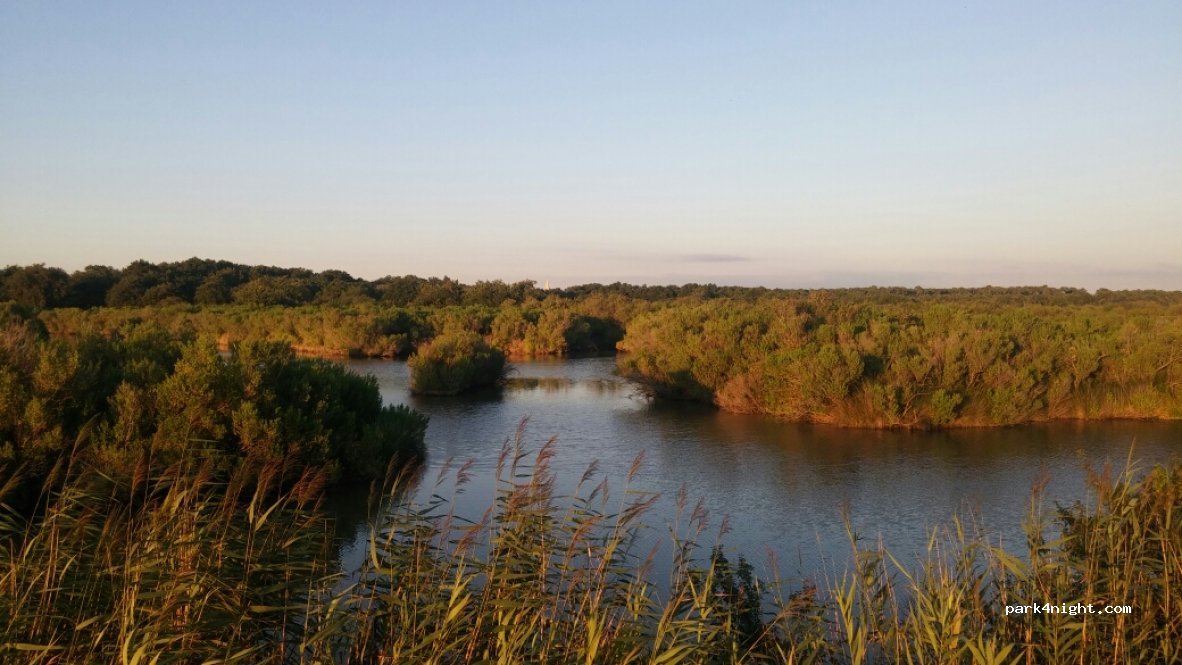 (33138) Lanton - 13B Route de la Plage — foto 3