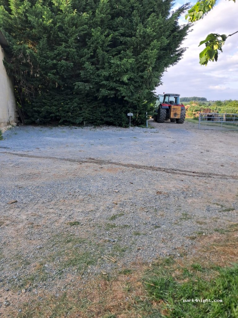 Ferme Les cochons sont dans le pré — foto