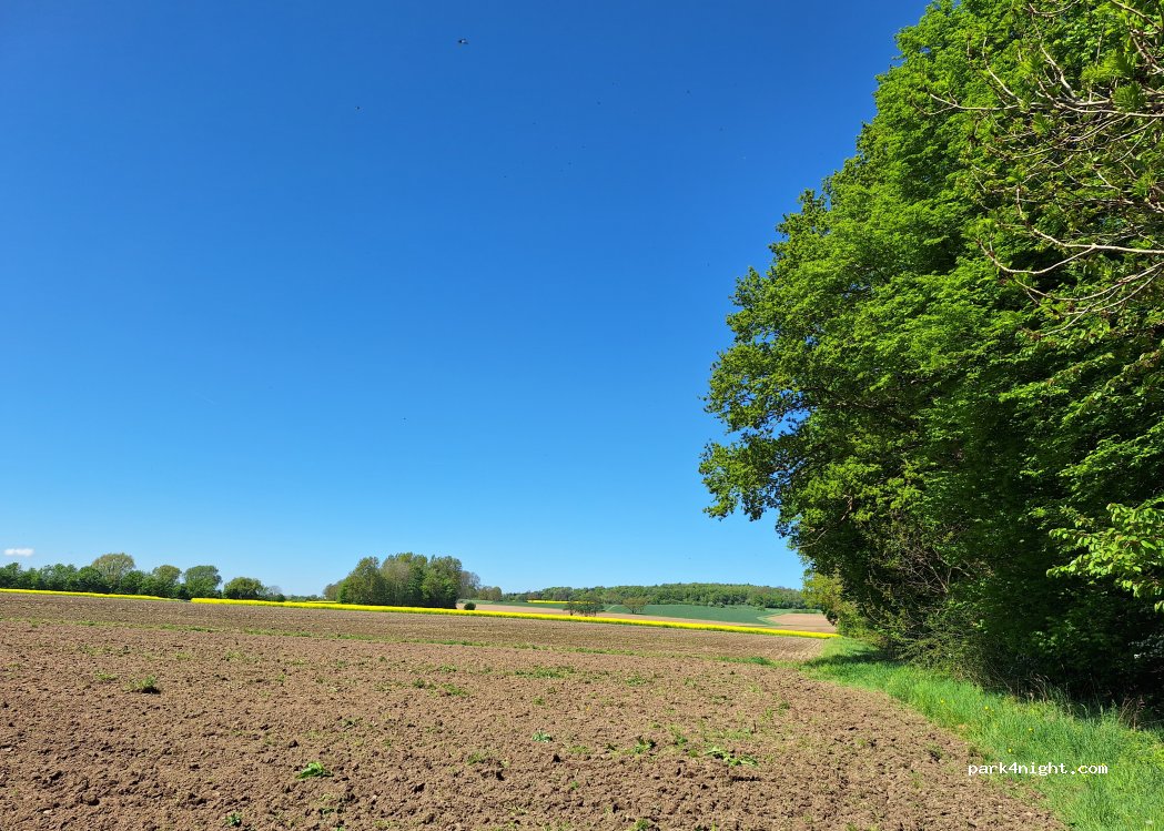 (31553) Auhagen - 1 Am Reiherwald — foto 3
