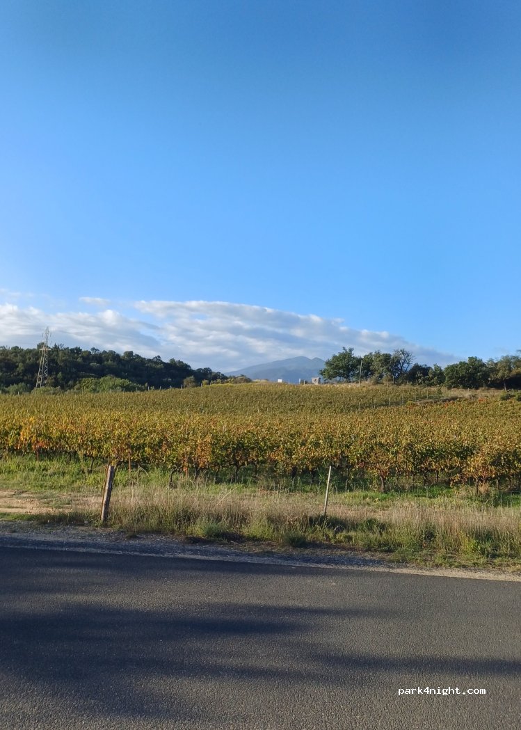 (66160) Le Boulou - — foto 2