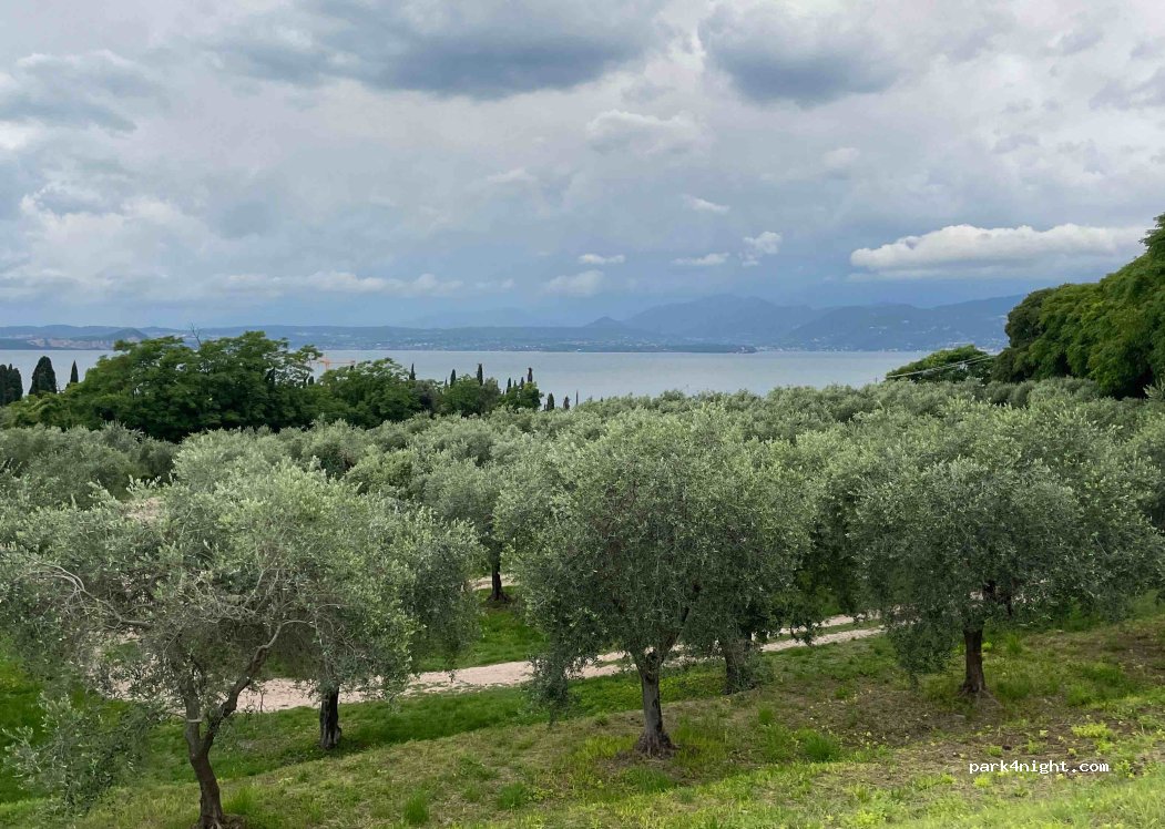 (37016) Garda - 19 Via San Vigilio — foto 4