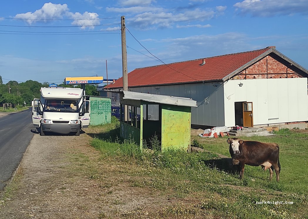 (6861) Dobromirtsi - 867 — foto
