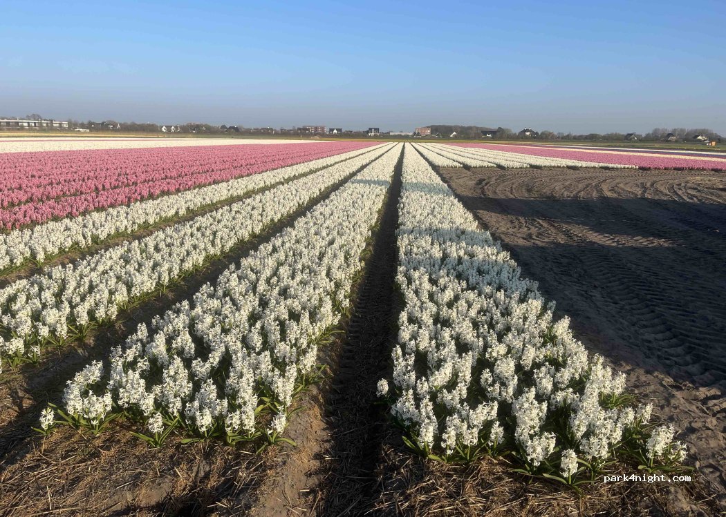 Buitenplaats Boerenkant — foto