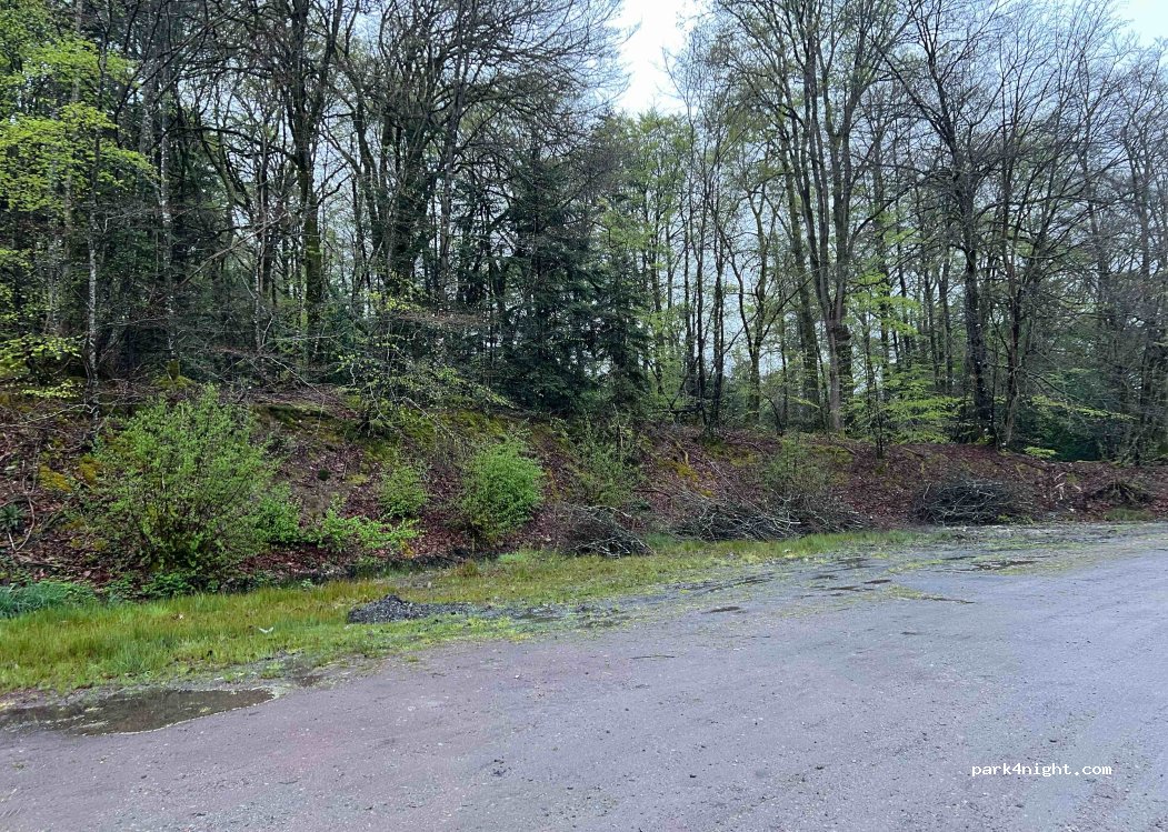 (35380) Plélan-le-Grand - — foto