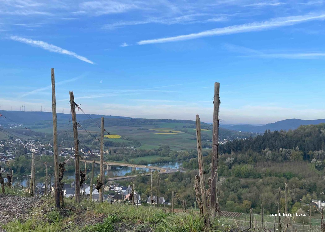 (54470) Lieser - — foto