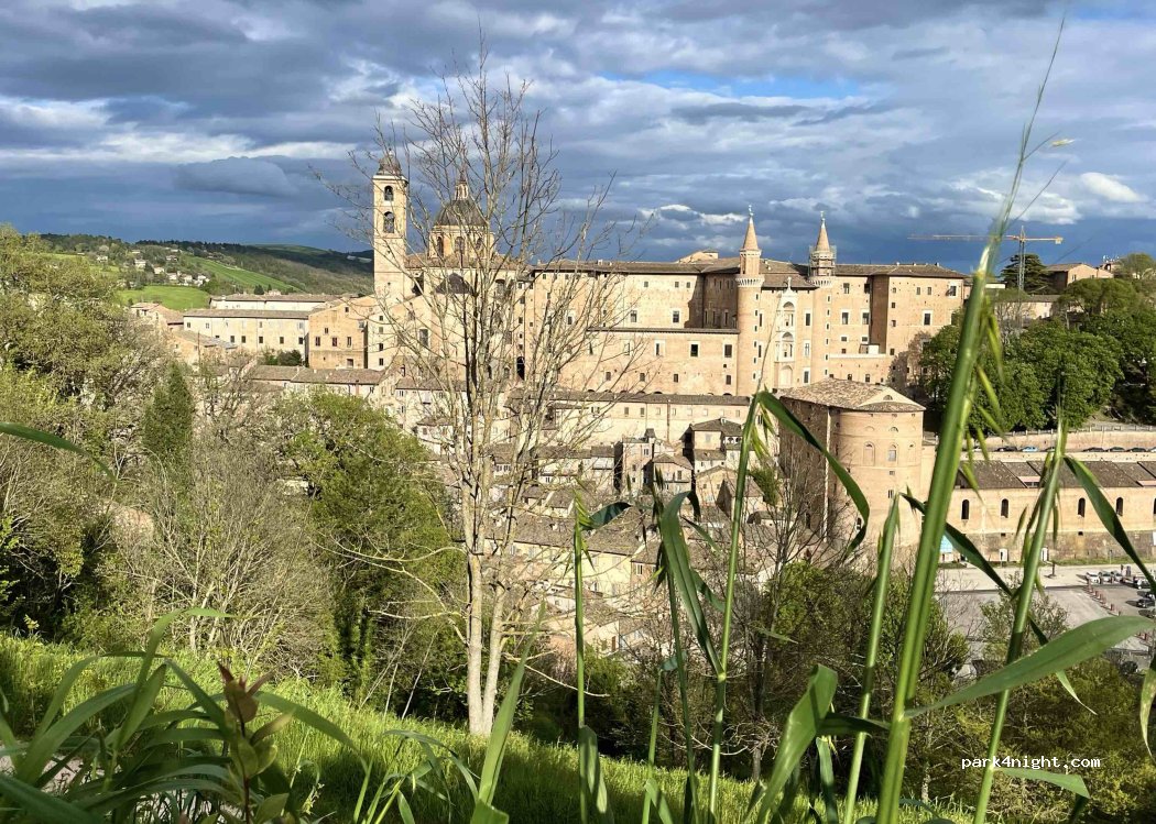 (61029) Urbino - 88 Via del Popolo — foto
