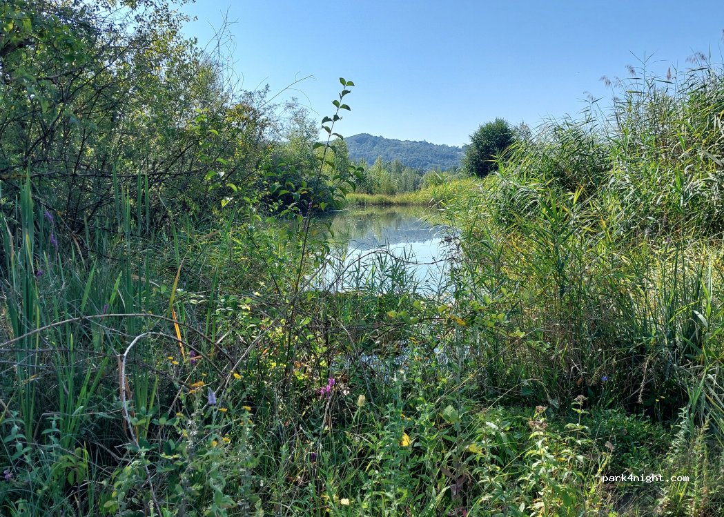(135400) Pucioasa - 35 Strada Izvoare — foto 3