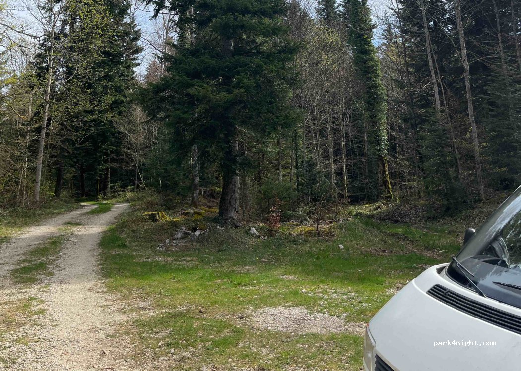 (39150) La Chaux-du-Dombief - — foto