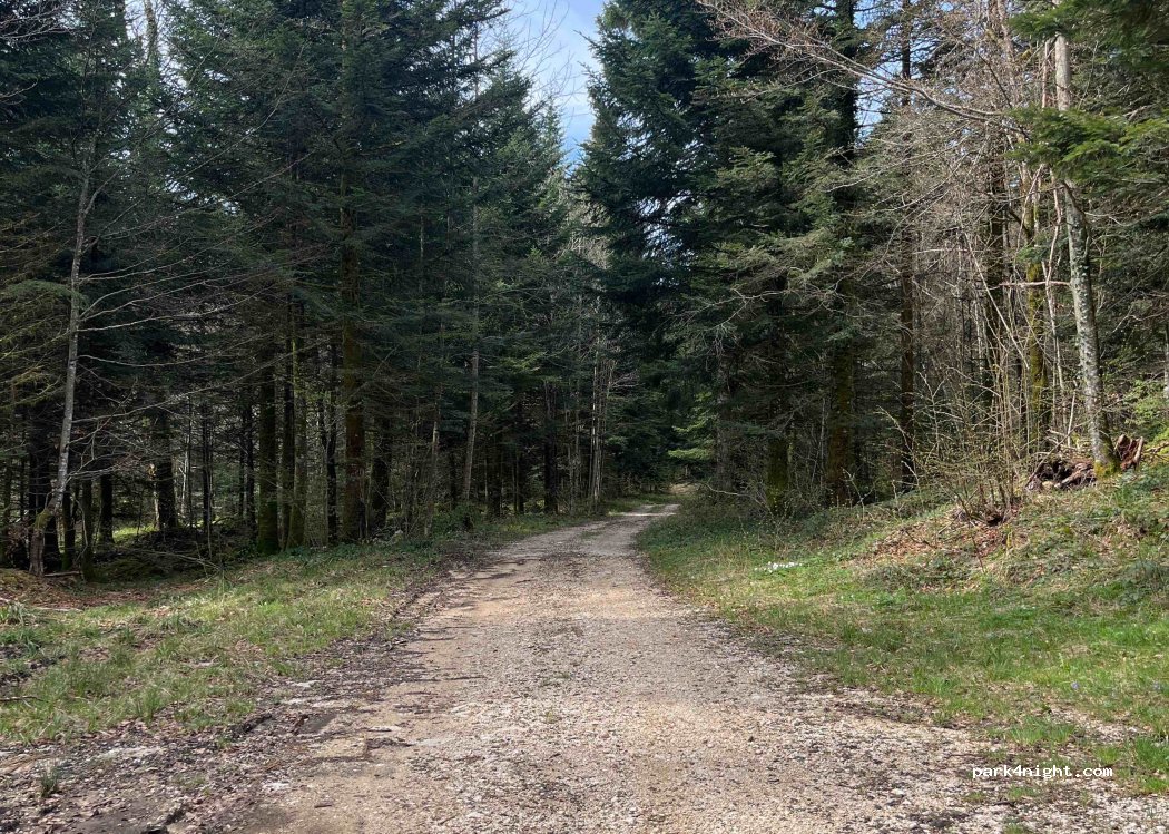 (39150) La Chaux-du-Dombief - — foto 2