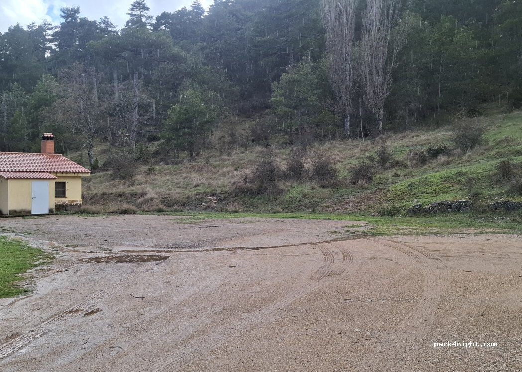 (16146) Uña - — foto