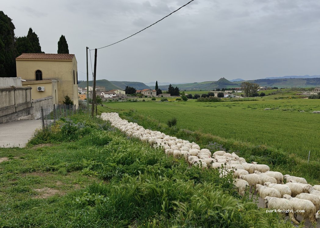(09021) Barumini - Unnamed road — foto