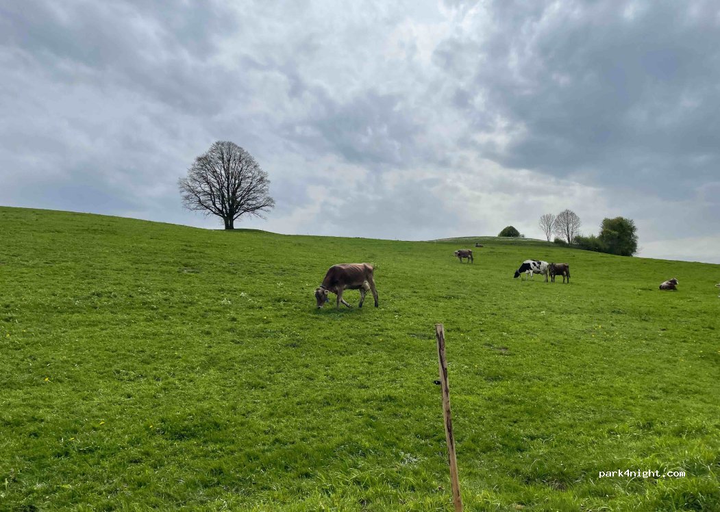 (88299) Leutkirch im Allgäu - 4 Fuchsberg — foto 3