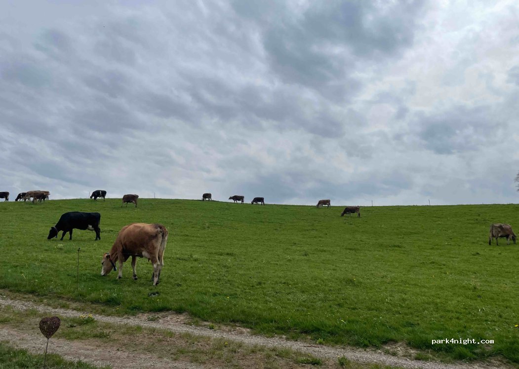 (88299) Leutkirch im Allgäu - 4 Fuchsberg — foto 4