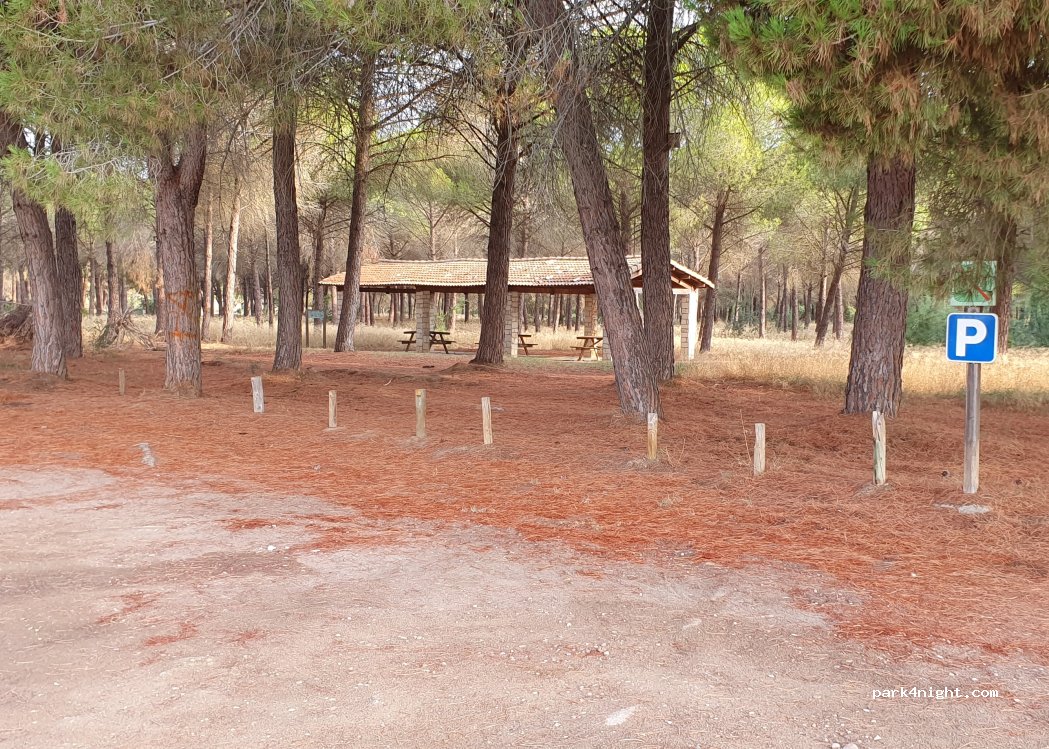 () La Alfranca - Unnamed road — foto 2