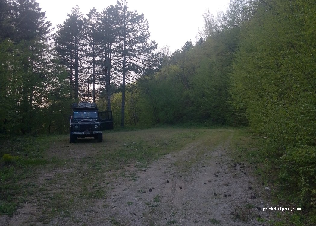 (47245) Jelov Klanac - — foto