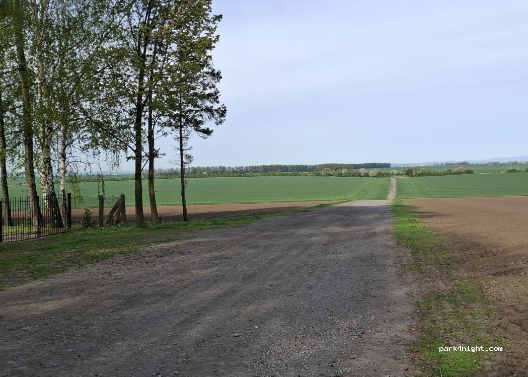 (48-130) Pilszcz - — foto