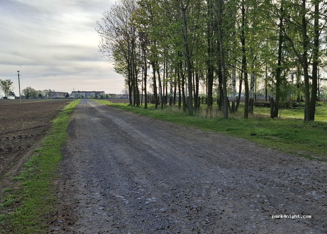 (48-130) Pilszcz - — foto 3