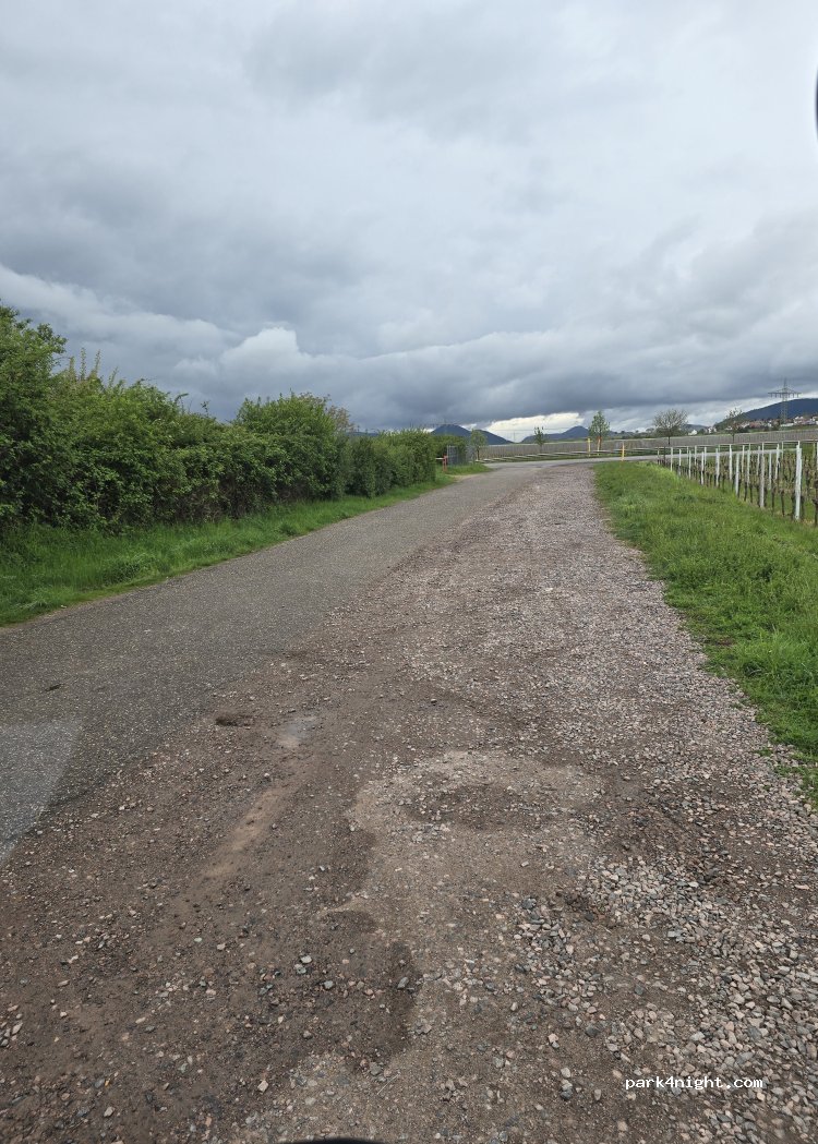 (76) Landau - Unnamed road — foto