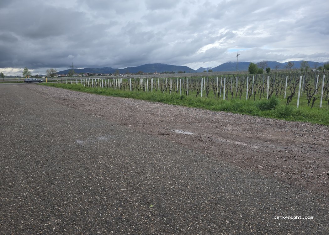 (76) Landau - Unnamed road — foto 3