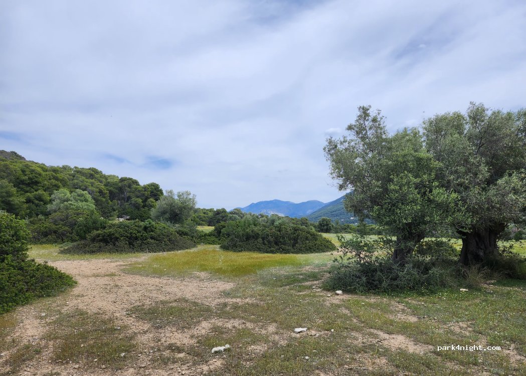 (203 00) Perachora - — foto