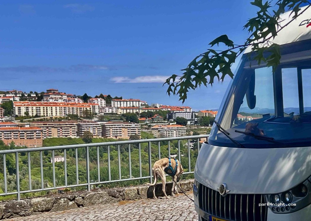 (5100-196) Lamego - 48 Rua da Ponte — foto 4