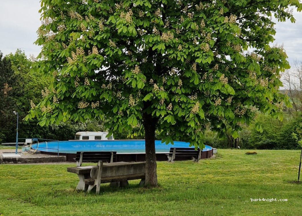 FSG Oberhessen e.V. - FKK Camping — foto
