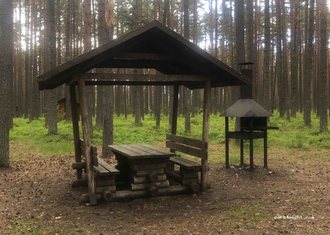 (41006)  - Kauksi-Vasknarva — foto 3