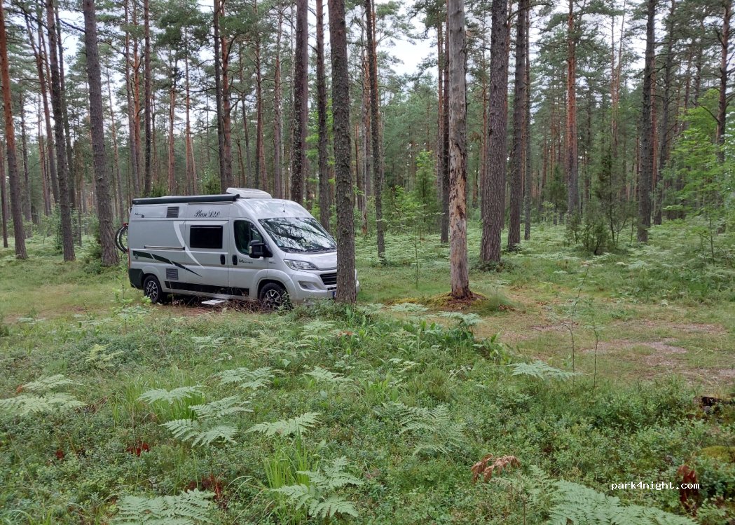 (41006)  - Kauksi-Vasknarva — foto 4