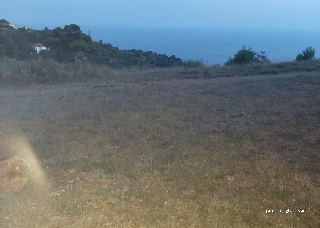 (18017) Cipressa - Strada Antica Torre — foto