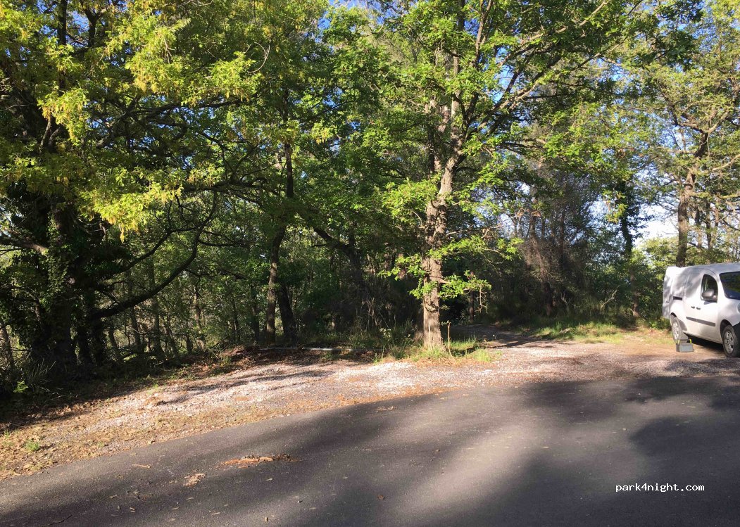 (18017) Cipressa - Strada Antica Torre — foto 2