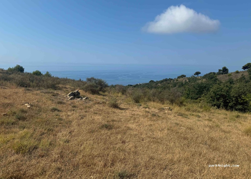 (18017) Cipressa - Strada Antica Torre — foto 3