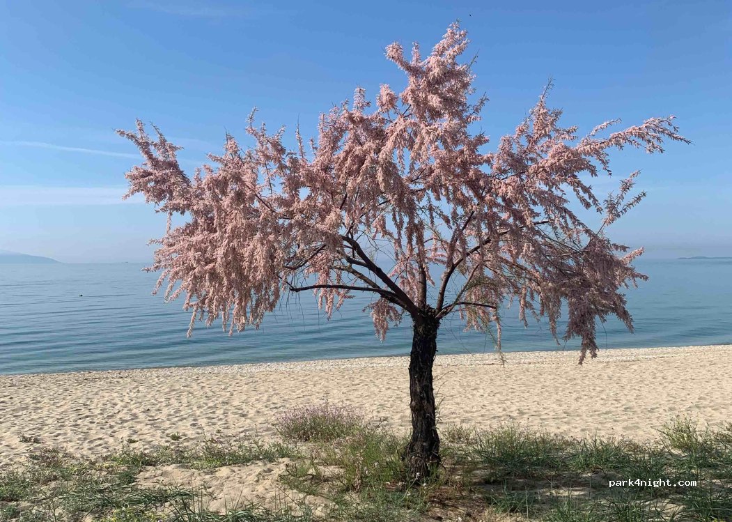 (640 06) Nea Karvali - 5 Georgiou Papandreou — foto