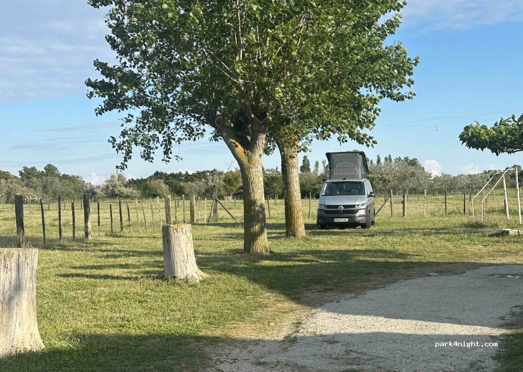 (13460) Saintes-Maries-de-la-Mer - — foto 5