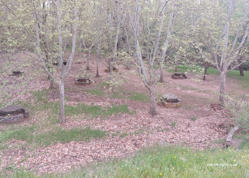 (02360) Bienservida - 14 Vial Camino — foto