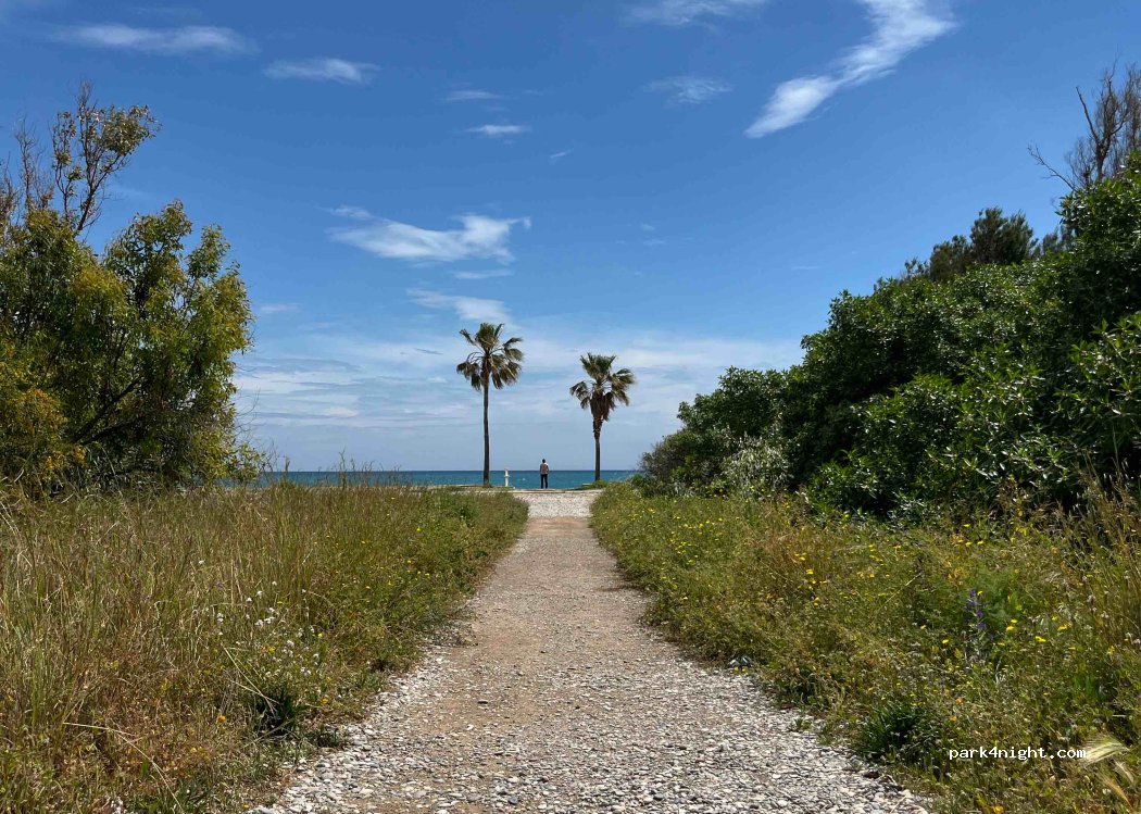 (12594) Orpesa - 53 Carrer Amplaries — foto