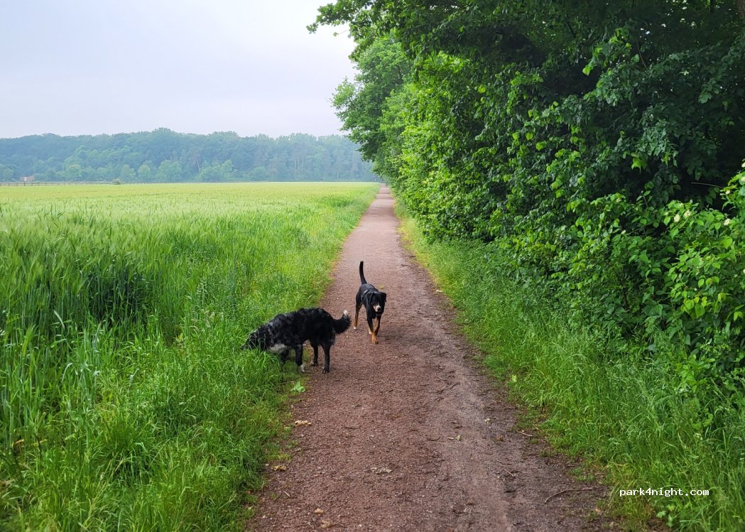 (48369) Saerbeck - 50 Zum Badesee — foto 3