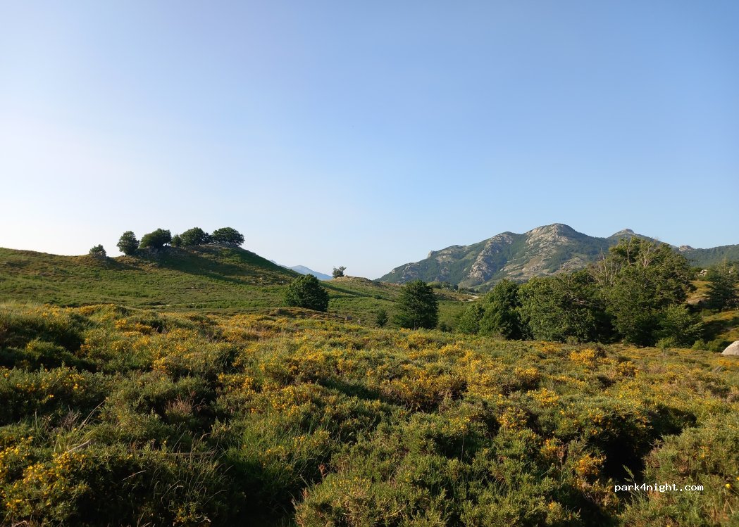 (20132) Zicavo - 1 Strada di U Cuscionu - Dfci — foto 3
