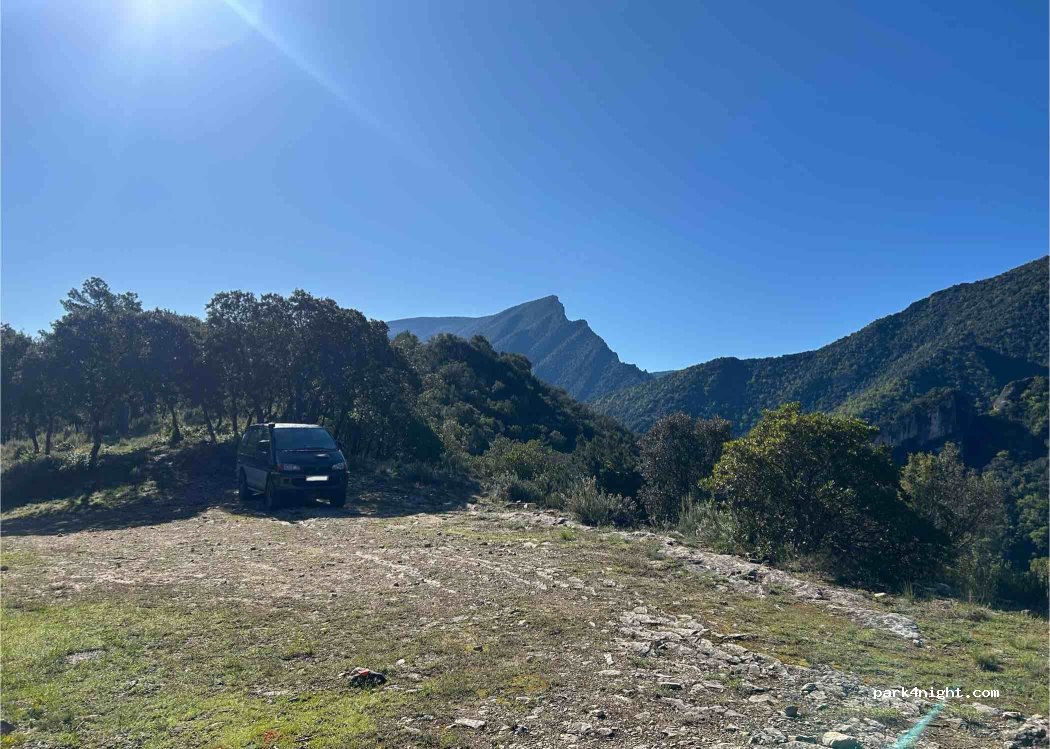 (25631) Cellers - — foto 2