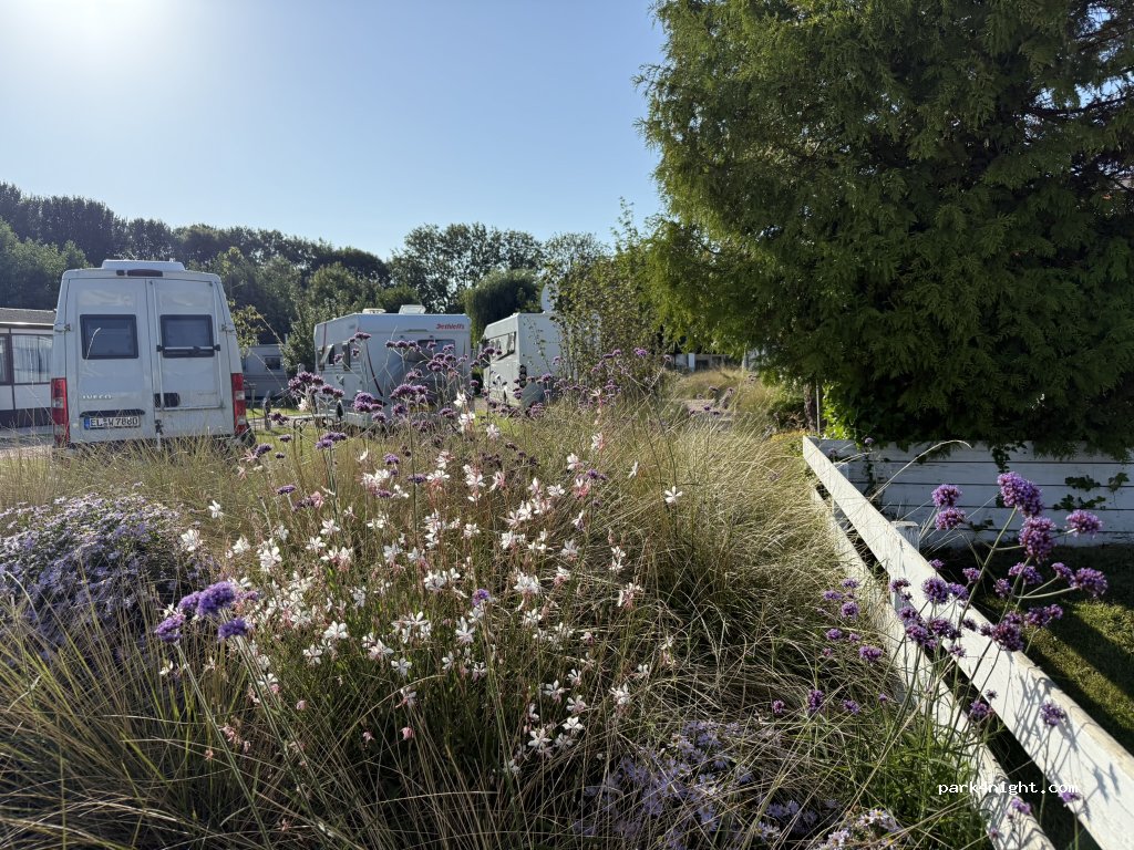 Camping Wad noch Meer — foto