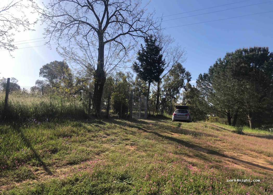 (95040) San Michele di Ganzaria - — foto