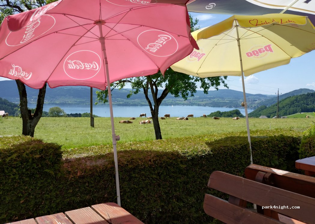 Gasthaus Schöberingerhof - Miglberg — foto 5