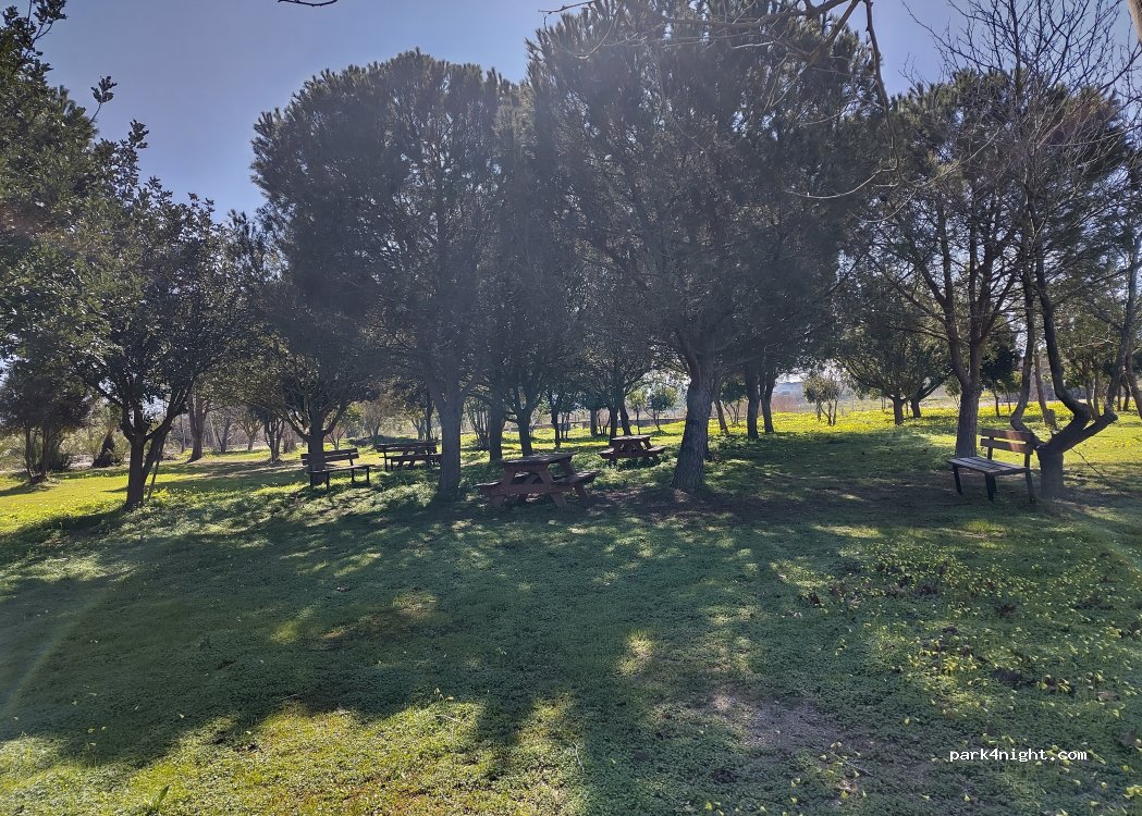 (700 06) Thrapsano - Unnamed road — foto