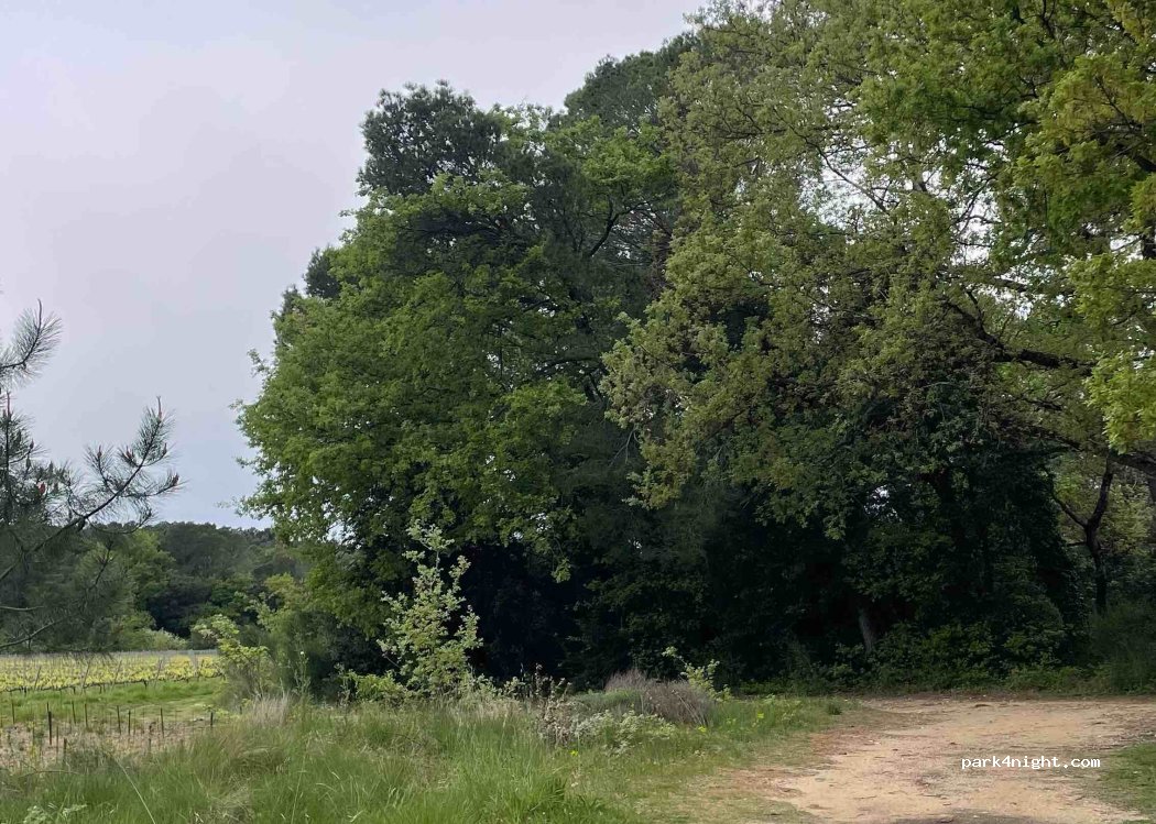 (84430) Mondragon - 652 Chemin des Granges Neuves — foto