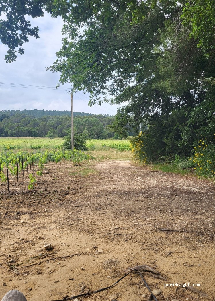 (84430) Mondragon - 652 Chemin des Granges Neuves — foto 2