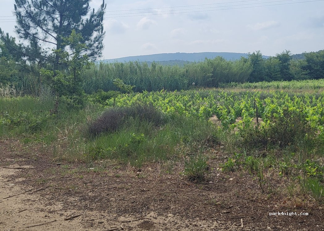 (84430) Mondragon - 652 Chemin des Granges Neuves — foto 3
