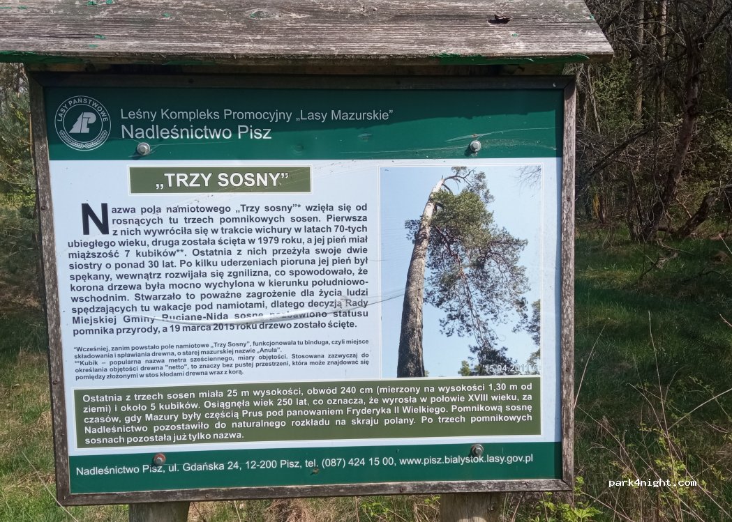 Polana Trzy Sosny — foto